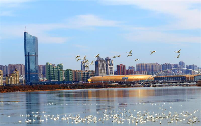 三门峡社会管理职业学院校园风景