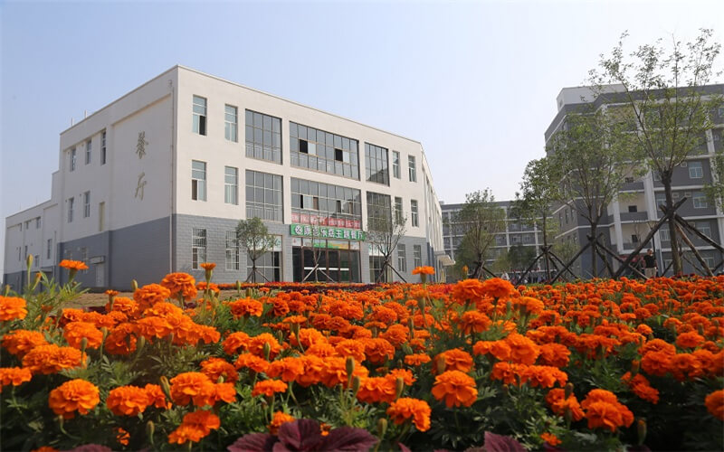 三门峡社会管理职业学院校园风景
