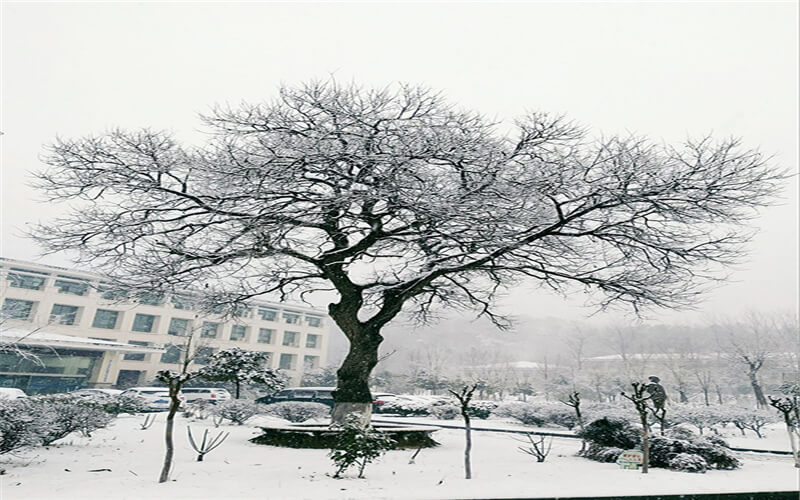 信阳航空职业学院校园风景