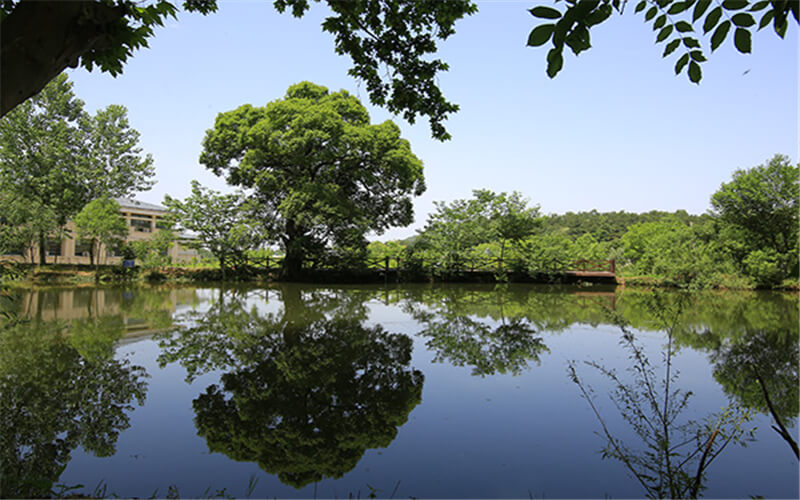 信阳航空职业学院校园风景