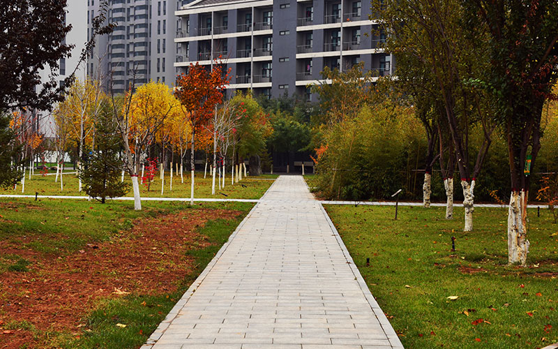 河北师范大学校园风景