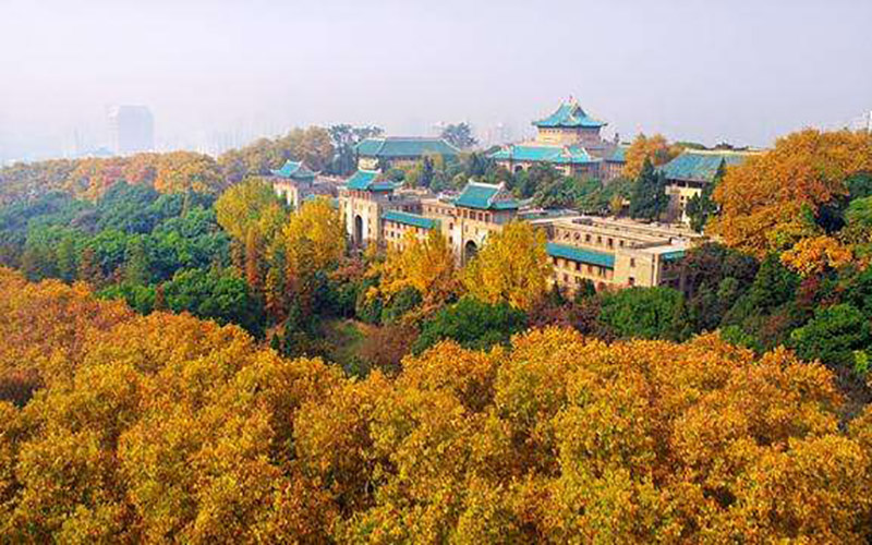 武汉大学校园风景