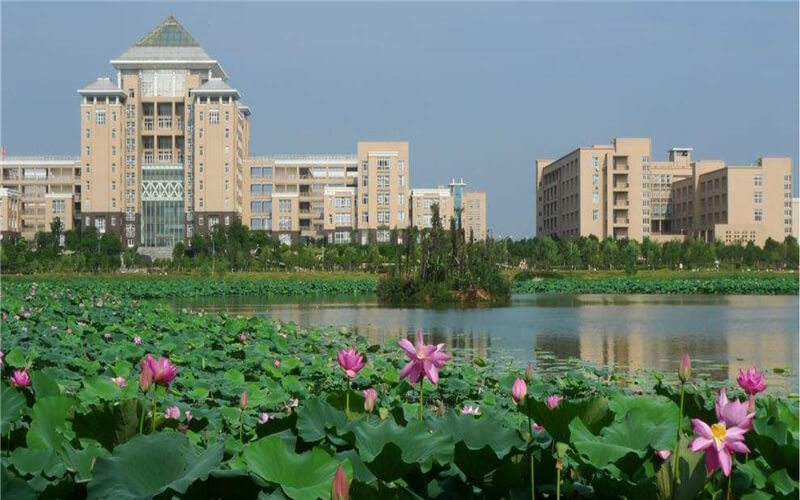 武汉科技大学校园风景