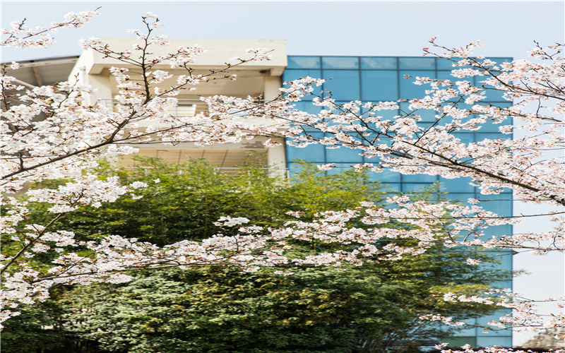 湖北理工学院校园风景