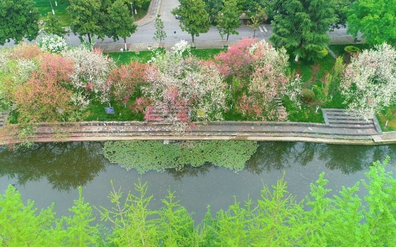 三峡大学校园风景