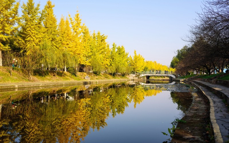 三峡大学校园风景