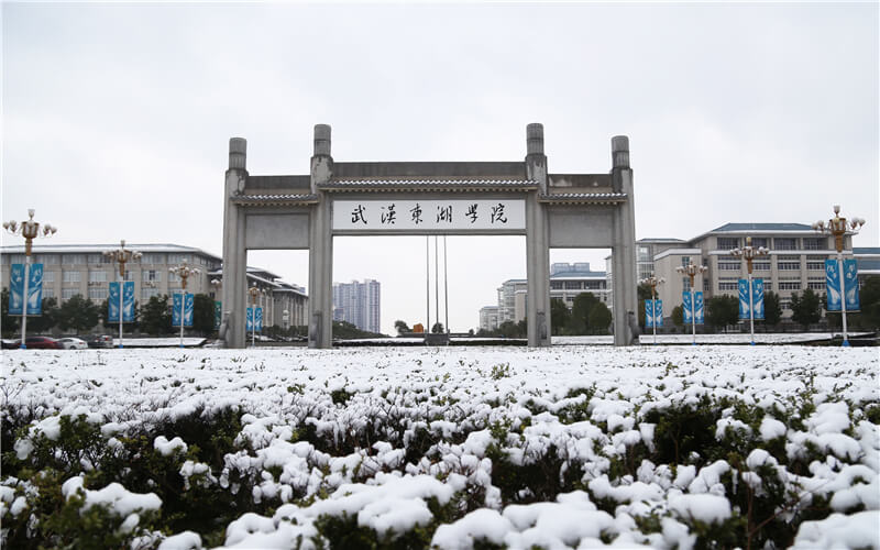 武汉东湖学院校园风景