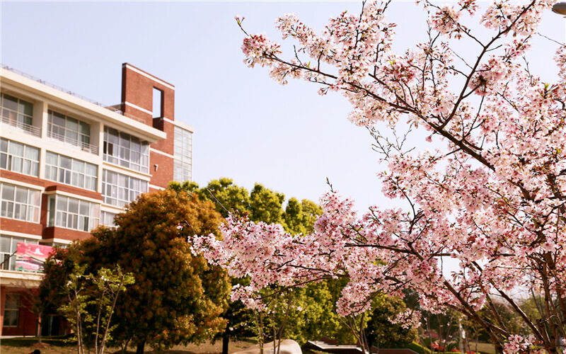 武汉城市学院校园风景