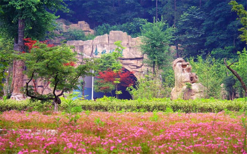 湖北医药学院药护学院校园风景