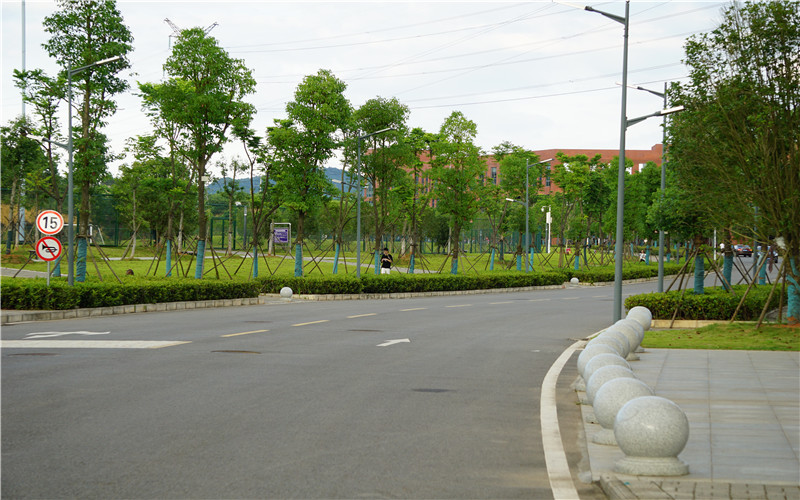 湖北师范大学文理学院校园风景