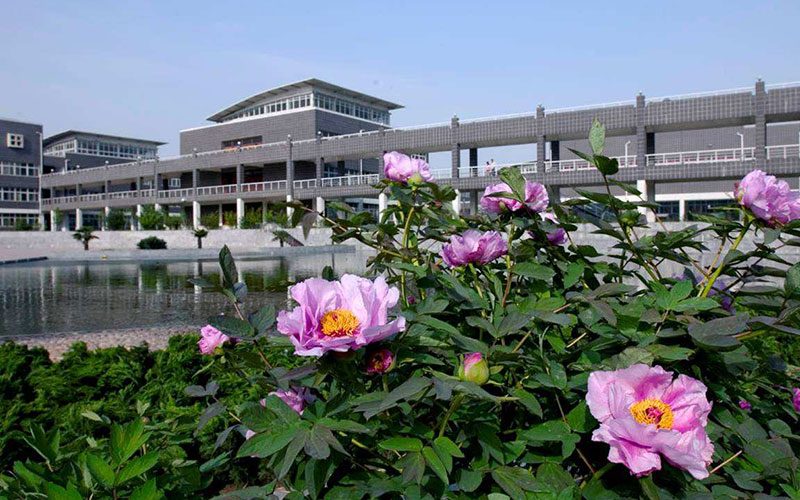 邯郸学院校园风景