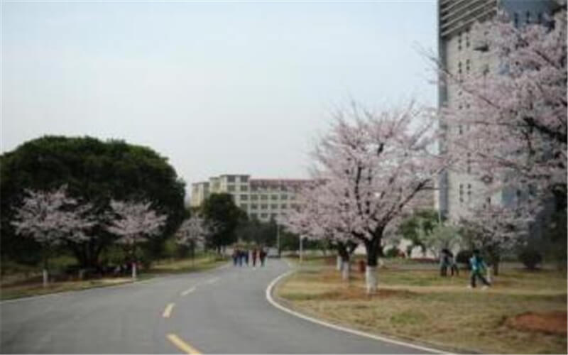 湖北第二师范学院校园风景