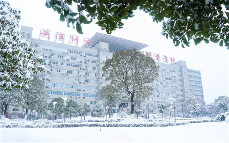 武汉城市职业学院校园风景