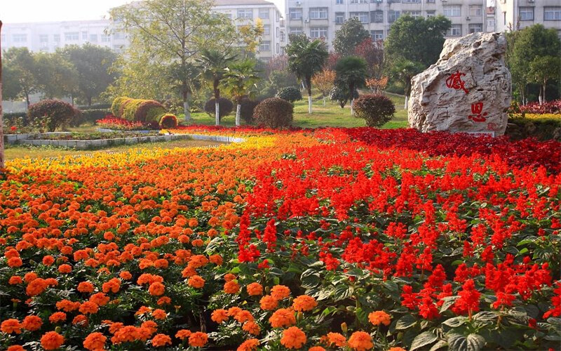 湖北职业技术学院校园风景