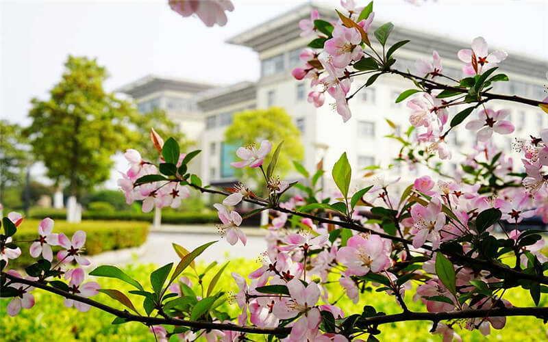 湖北中医药高等专科学校校园风景