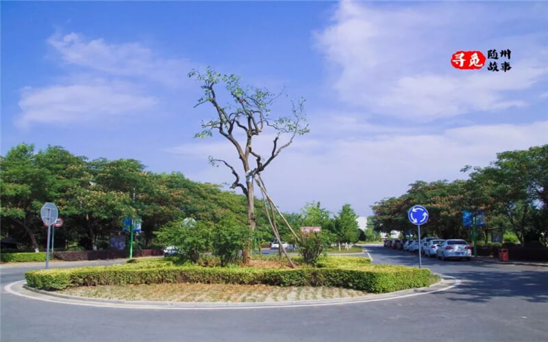 随州职业技术学院校园风景