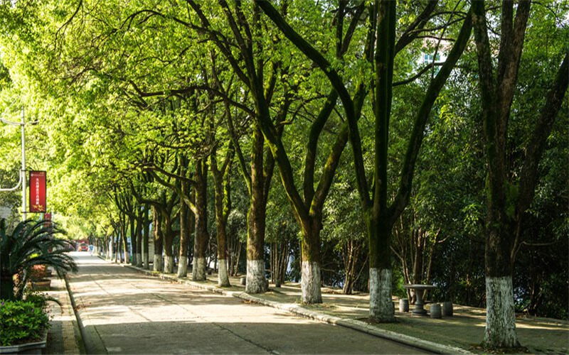 咸宁职业技术学院校园风景