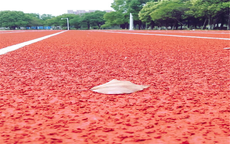 湖北体育职业学院校园风景