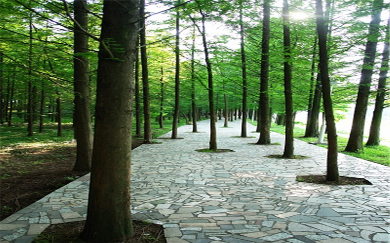 吉首大学校园风景