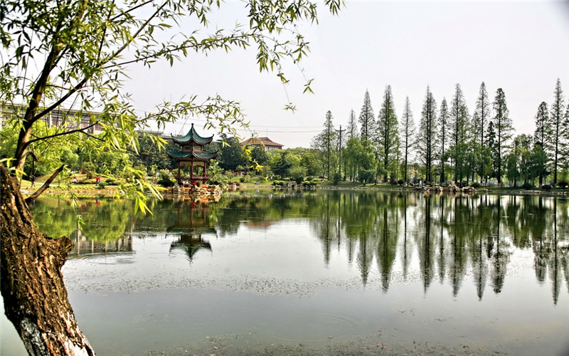 湖南农业大学校园风景