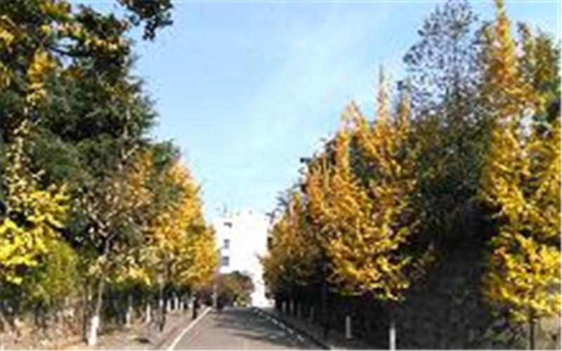 中南林业科技大学校园风景