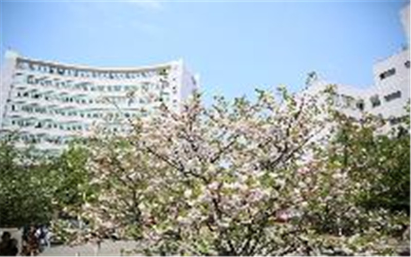中南林业科技大学校园风景