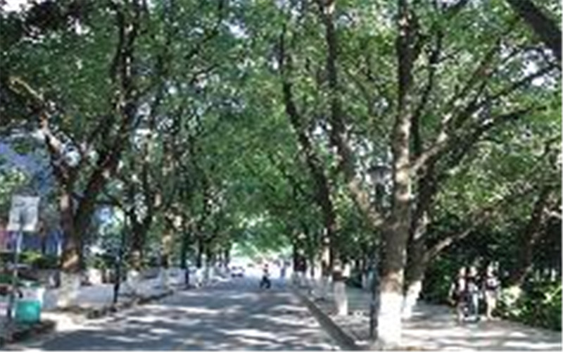 中南林业科技大学校园风景