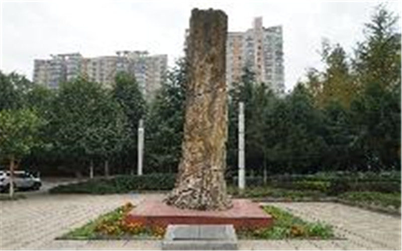 中南林业科技大学校园风景