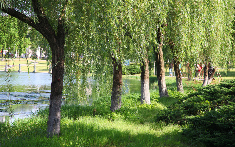 湖南文理学院校园风景