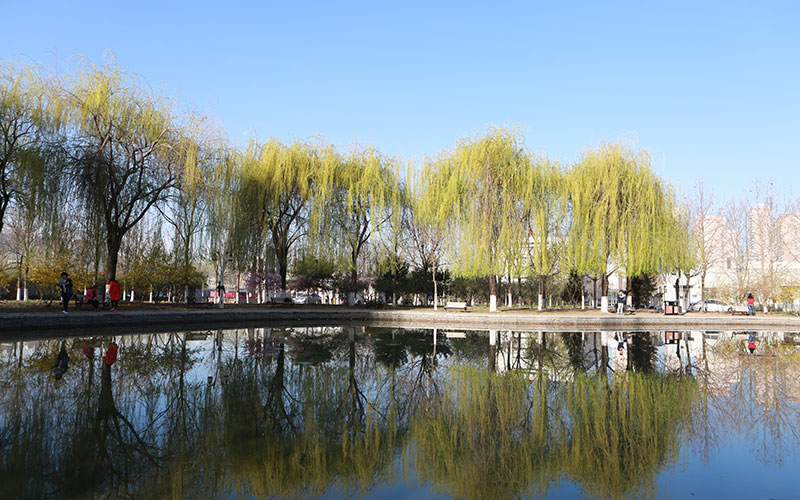 河北金融学院校园风景