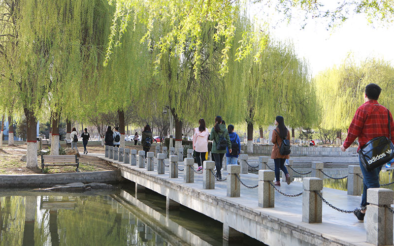 河北金融学院校园风景