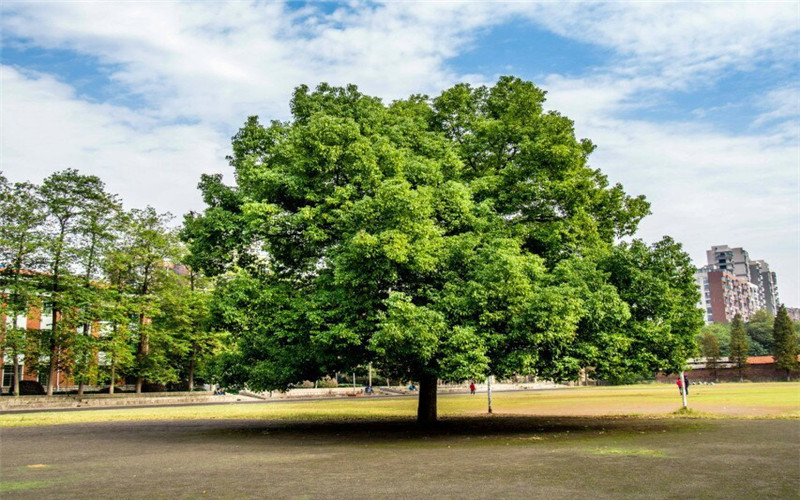 湖南工程学院应用技术学院校园风景