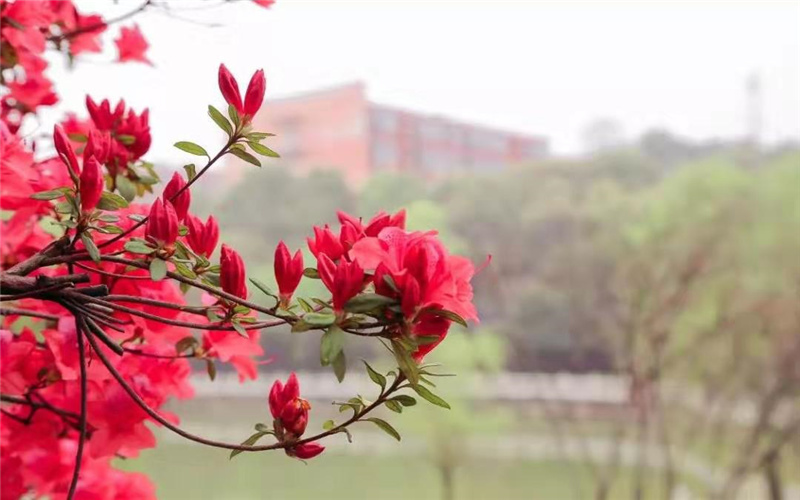 湖南信息学院校园风景