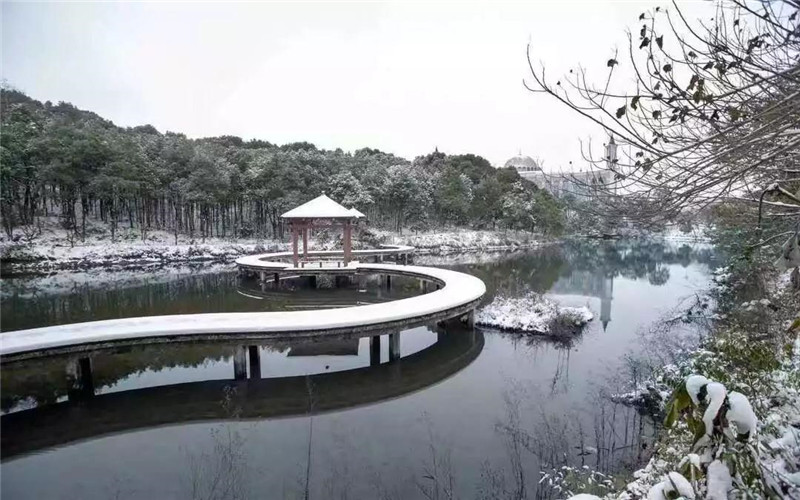 长沙民政职业技术学院校园风景