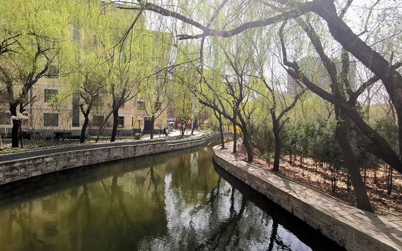 河北美术学院校园风景