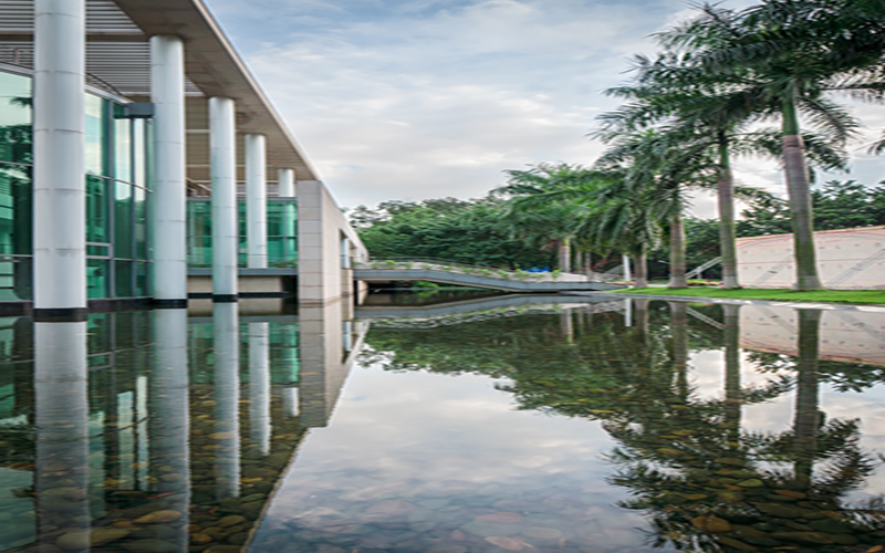 华南理工大学校园风景