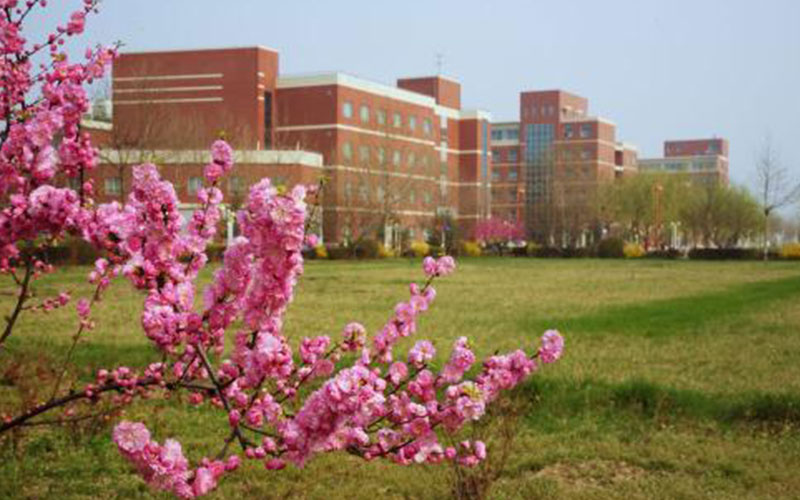 河北大学工商学院校园风景