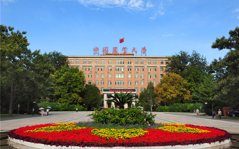 中国农业大学校园风景