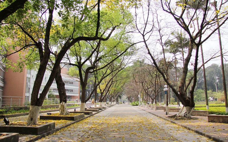 广东外语外贸大学校园风景