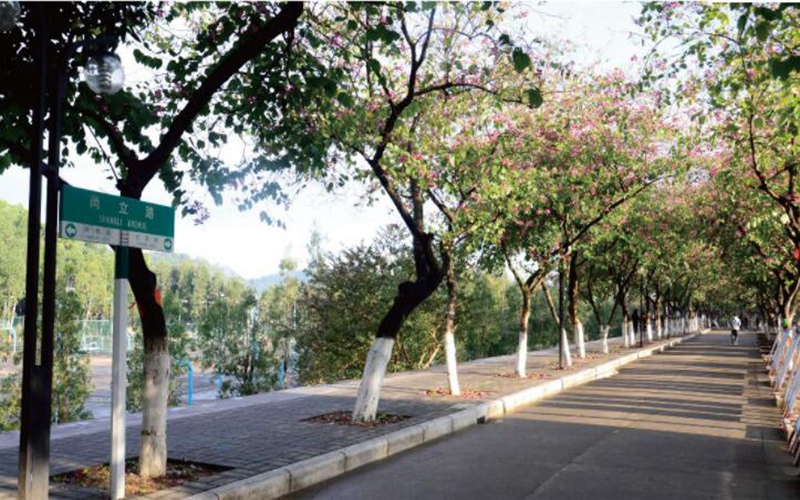 广东培正学院校园风景