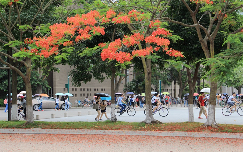 北京师范大学珠海分校校园风景