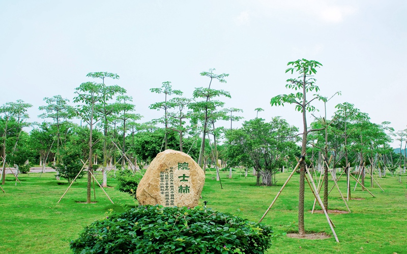 珠海科技学院校园风景