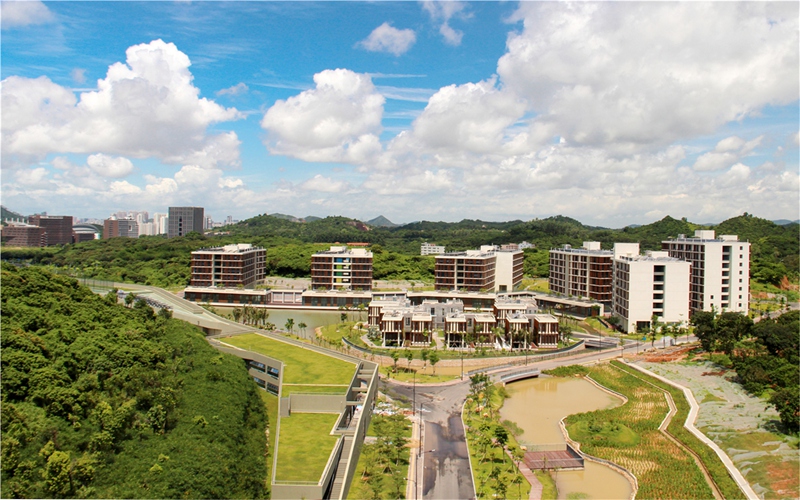 南方科技大学校园风景