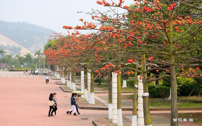 广东科学技术职业学院校园风景