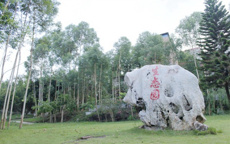 罗定职业技术学院校园风景