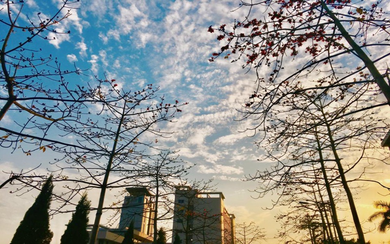 揭阳职业技术学院校园风景