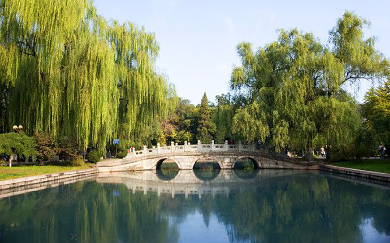 北京大学校园风景