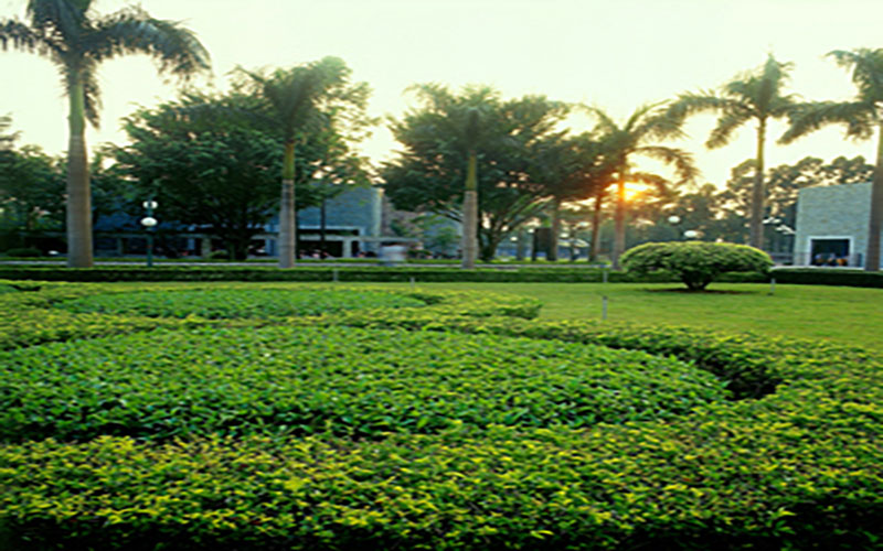 广州华立科技职业学院校园风景