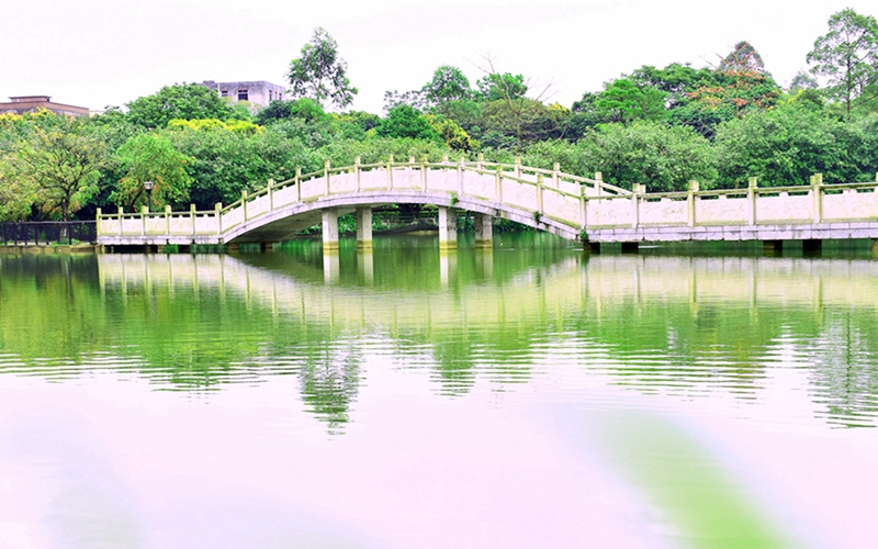 广州科技贸易职业学院校园风景