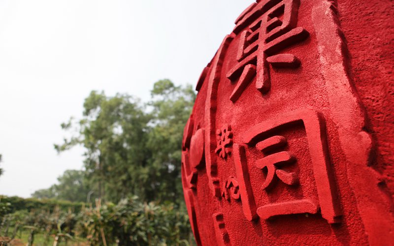 广东舞蹈戏剧职业学院校园风景